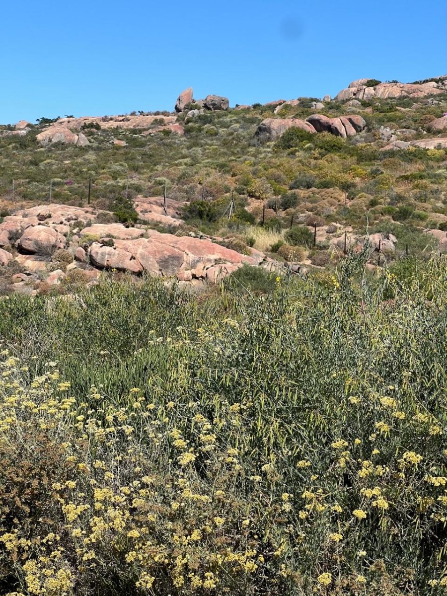 Commercial Property for Sale in St Helena Views Western Cape